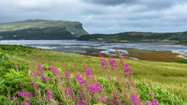 Rathlin Island in April