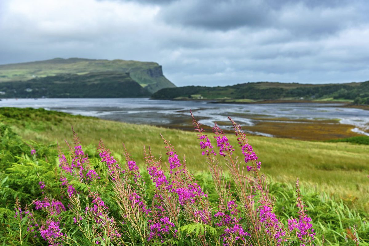 Rathlin Island in April